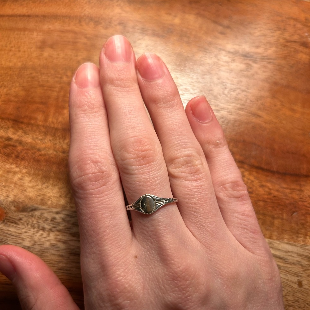 J Catbird Grand Cygnet Silver Signet Ring - Silver size 7